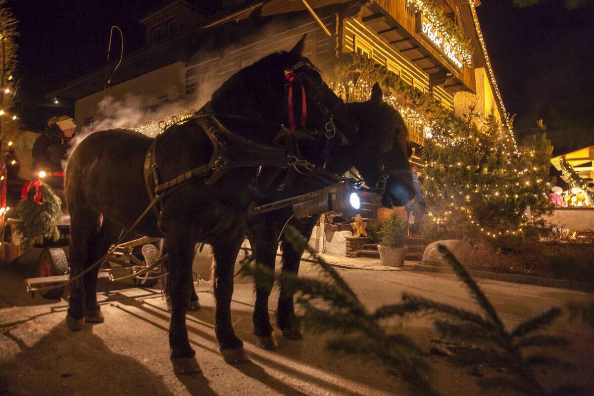 A horse-drawn sleigh in the village at night, lit by Christmas lights.