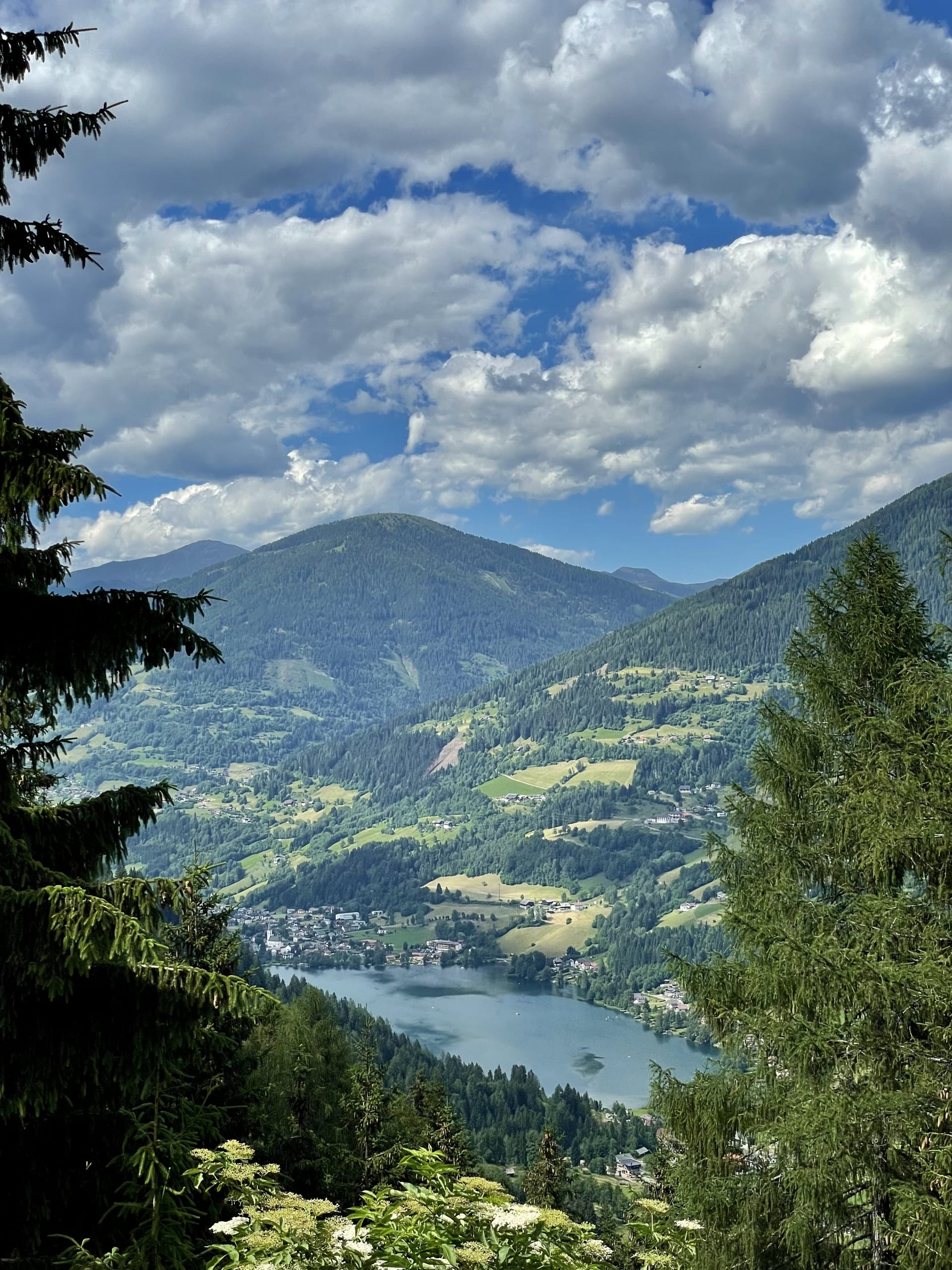 View of Millstättersee from the hill above, blue lake framed by trees.